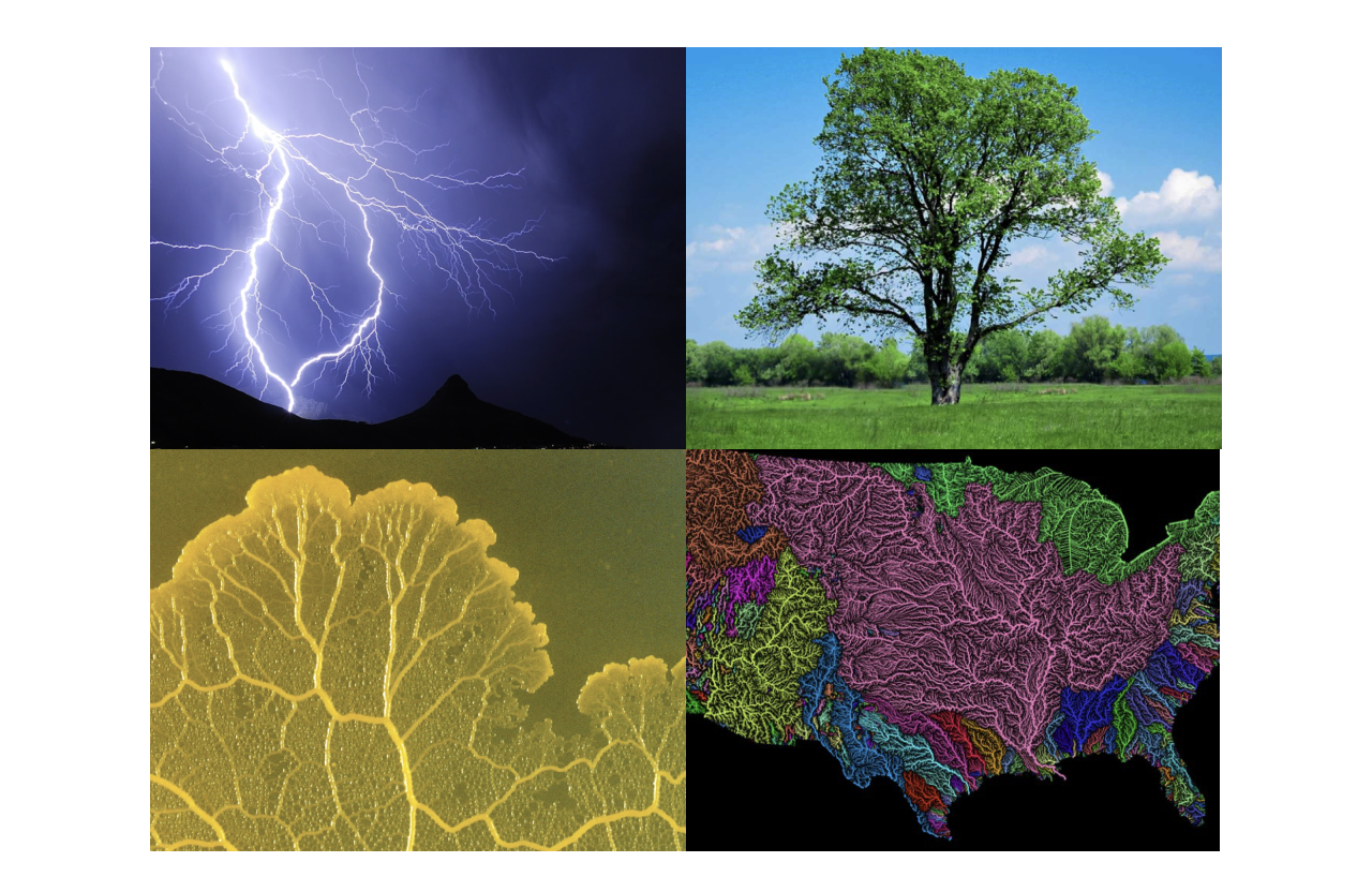 treelike structures